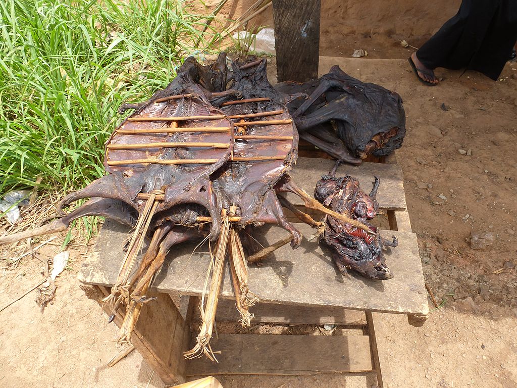 Bushmeat, Ghana